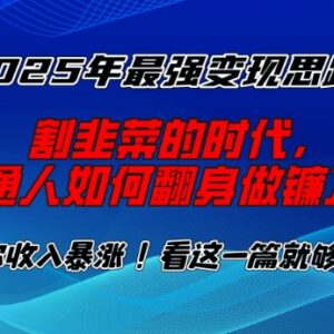 2025年普通人知识付费变现指南 互联网赚钱底层逻辑解析-雨叶虚拟资源网