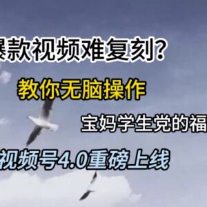视频号4.0低门槛玩法指南 适合宝妈学生的轻量副业操作教程-雨叶虚拟资源网