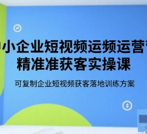 中小企业短视频精准获客实操课 可复制落地运营训练方案-雨叶虚拟资源网