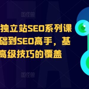 谷歌独立站SEO系列课程 零基础到高手全模块知识点全覆盖-雨叶虚拟资源网