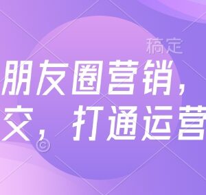 高复购朋友圈营销实操教程 私域成交全链路运营指南-雨叶虚拟资源网