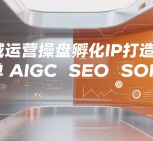 全域运营IP打造全流程实操 含AIGC SEO SOP及私域成交方法-雨叶虚拟资源网