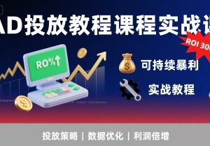 巨量AD投放实战系统教程 掌握核心玩法实现广告ROI300%+-雨叶虚拟资源网