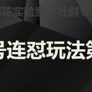 梅花实验室社群视频号连怼玩法第二期 实操全流程详细讲解-雨叶虚拟资源网