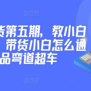价值2980元短视频带货第五期教程 小白起号选品实操攻略-雨叶虚拟资源网