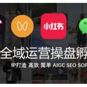 抖音+私域+小红书全域运营操盘 IP高效打造实操课程-雨叶虚拟资源网