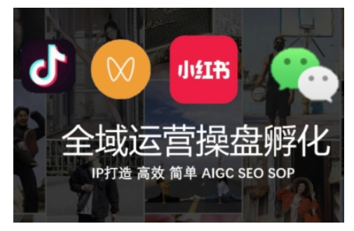 抖音+私域+小红书全域运营操盘 IP高效打造实操课程