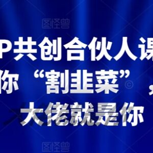 2024IP共创合伙人系统课程 含公私域流量运营全套学习资料-雨叶虚拟资源网
