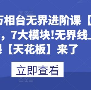 万相台无界进阶运营课程 80讲7大模块电商推广实操教学-雨叶虚拟资源网
