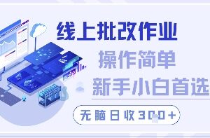 线上批改作业副业怎么操作 新手友好的低门槛增收项目解析-雨叶虚拟资源网