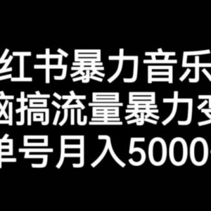 小红书音乐号实操运营全教程 流量获取及变现方法详细解析-雨叶虚拟资源网