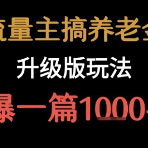 公众号流量主养老金赛道升级玩法 新手可操作爆文单篇收益超千元-雨叶虚拟资源网