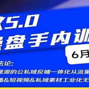 红蚁5.0IP操盘手内训营 详解IP操盘全链路终极方法论-雨叶虚拟资源网