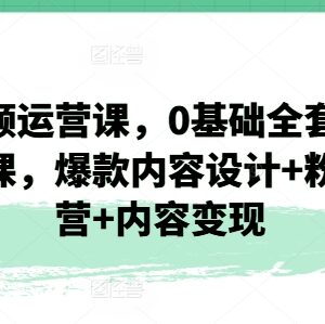 0基础短视频运营实操全套课 爆款打造粉丝运营变现系统教程-雨叶虚拟资源网