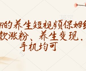 养生短视频保姆级运营教程 AI起号涨粉多渠道变现 多设备可用-雨叶虚拟资源网