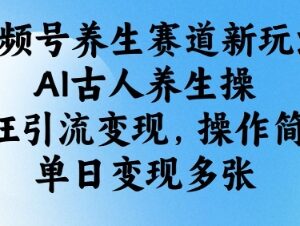 视频号养生赛道AI古人养生操玩法 低门槛引流变现实操指南-雨叶虚拟资源网