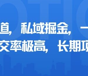 适合普通人做的小众私域掘金长期项目 多玩法高成交可放大-雨叶虚拟资源网