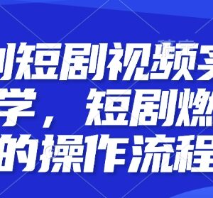原创短剧燃剪实操教学 短剧剪辑完整操作流程及技巧分享-雨叶虚拟资源网