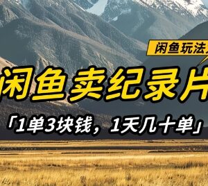 闲鱼卖纪录片低门槛赚钱项目实操 单量稳定可长期运营-雨叶虚拟资源网