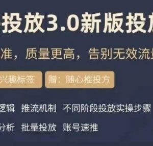 DOU+豆荚3.0新版投放实操课 精准获流提升质量告别无效投放-雨叶虚拟资源网