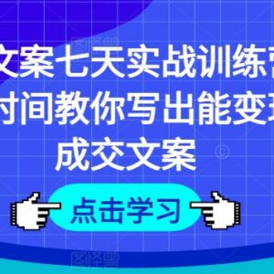 七天成交文案实战训练营 教你掌握多场景可变现文案写作技巧-雨叶虚拟资源网