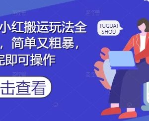 小红书小说推文搬运玩法全流程实操 新手看完即可上手操作-雨叶虚拟资源网