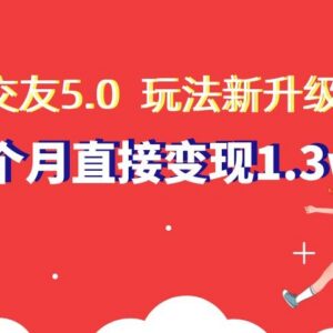 盲盒交友5.0升级版玩法拆解 新手可操作月入过万实操教程-雨叶虚拟资源网