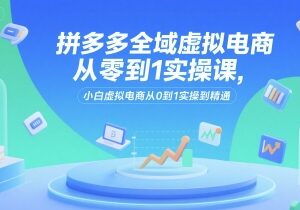 拼多多全域虚拟电商实操课 小白从0到1全流程落地运营指南-雨叶虚拟资源网