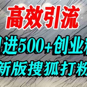 搜狐平台精准创业粉引流实操教程 单人日引500+精准粉方法-雨叶虚拟资源网