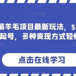 2024旅游薅羊毛项目最新玩法 AI制作景点视频多渠道变现教程-雨叶虚拟资源网