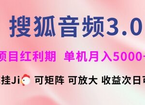 搜狐音频挂机3.0玩法详解 支持矩阵多开可实现稳定月入5000+-雨叶虚拟资源网