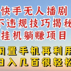 快手无人直播不违规操作技巧 无版权不封号躺赚玩法全指南-雨叶虚拟资源网