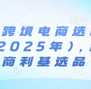 2025年2月更新 亚马逊跨境电商利基选品实操案例合集-雨叶虚拟资源网