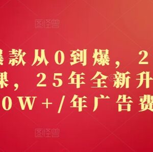 2025全新升级版淘系精品系列课 从0到爆打造爆款全流程实操教程-雨叶虚拟资源网