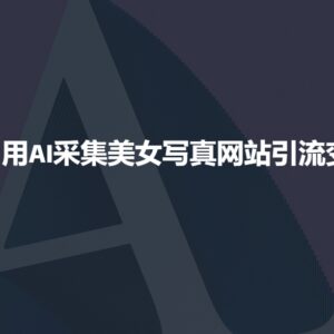 利用AI采集搭建美女写真网站 实操引流变现玩法详解-雨叶虚拟资源网