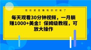 海外看视频赚美金实操教程 每天30分钟月入千刀可放大操作-雨叶虚拟资源网
