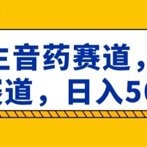 养生音药蓝海赛道怎么玩 低门槛副业轻松实现日入500+-雨叶虚拟资源网