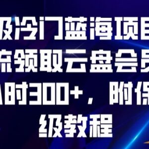 冷门云盘会员引流蓝海项目实操教程 零基础碎片化时间即可操作-雨叶虚拟资源网