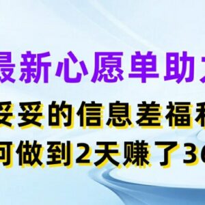 小红书心愿单助力项目玩法解析 低门槛操作2天收益3600元实操揭秘-雨叶虚拟资源网