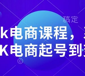 TikTok电商系统课程 从起号运营到变现全流程实操教学-雨叶虚拟资源网