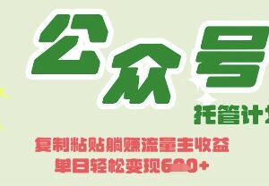 Deepseek结合公众号流量主变现攻略 零基础可操作的副业增收方法-雨叶虚拟资源网