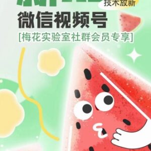 2024梅花实验室AB技术 视频号AB合成会员专属学习资源说明-雨叶虚拟资源网