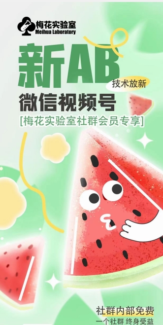 2024梅花实验室AB技术 视频号AB合成会员专属学习资源说明