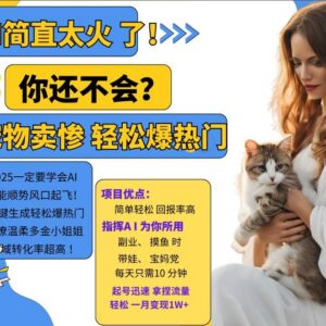 2024小红书AI宠物卖惨打工项目 高转化私域变现实操攻略-雨叶虚拟资源网