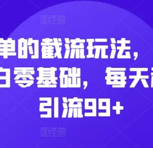 2024零基础小白可上手私域截流玩法 可实现单日引流99+-雨叶虚拟资源网