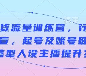 直播带货流量训练营课程 术语扫盲起号破层级主播实战提升-雨叶虚拟资源网