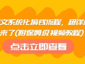 2025小说推文系统化搞钱全流程 附保姆级实操视频教程-雨叶虚拟资源网