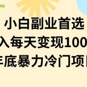 适合新手小白的零成本冷门副业揭秘 上手可日入1000-2000-雨叶虚拟资源网