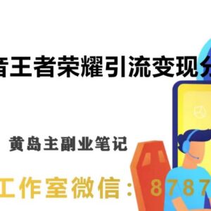 抖音王者荣耀游戏副业变现玩法 零基础实操全流程拆解-雨叶虚拟资源网