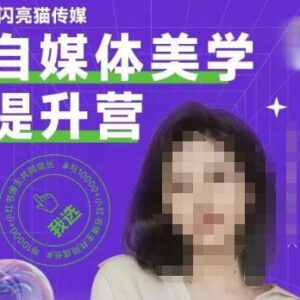 自媒体美学提升营教程：手把手教博主提升审美打造个人账号调性-雨叶虚拟资源网